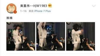 娱乐圈吃瓜小三是谁呀,娱乐圈吃瓜小三是谁?揭秘神秘人物背后的真相